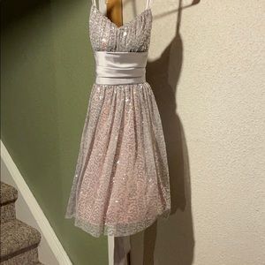 A dress i bought for a disney princess breakfast